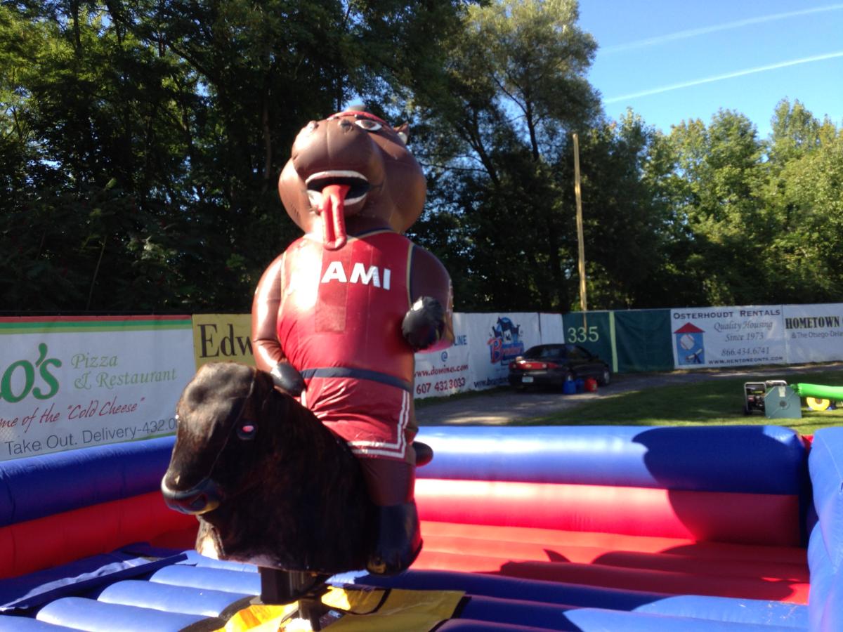 Corporate and College Gallery